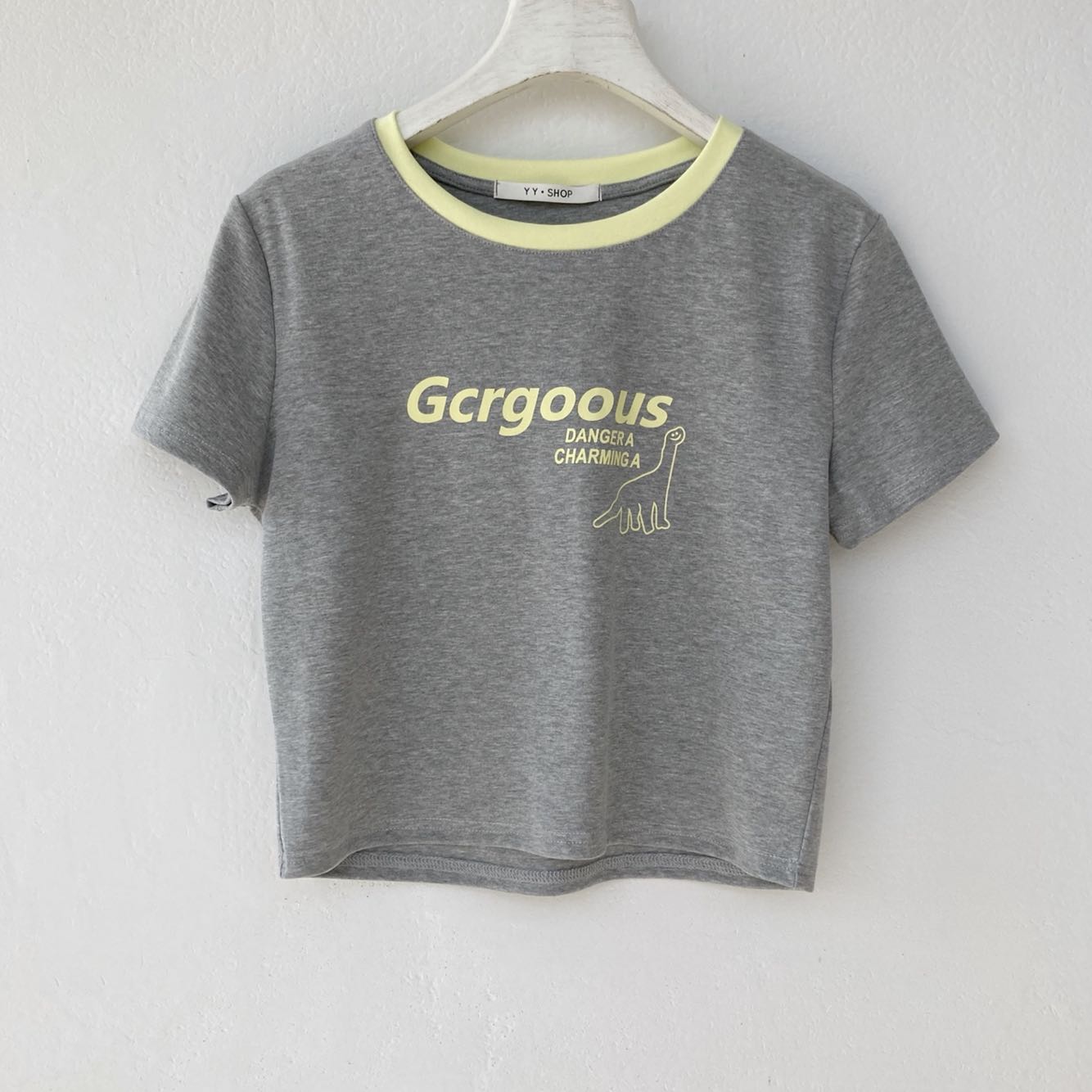 Cute Dinosaur Print Color Matching T-Shirt 6