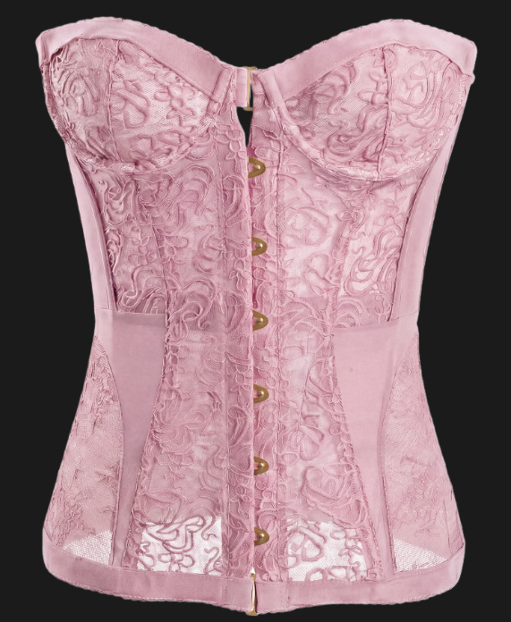 Lace Corset Top